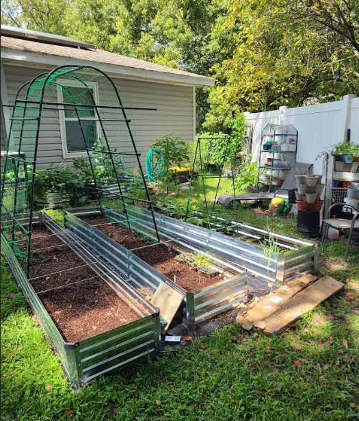 UrbanYardStead Florida garden